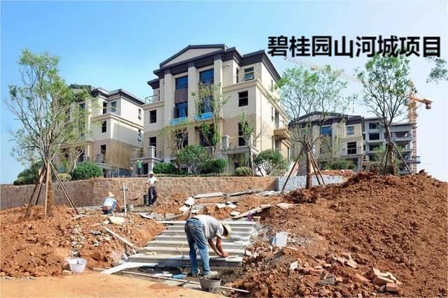 項(xiàng)目案例