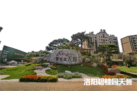 項(xiàng)目案例
